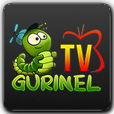 Canale online Gurinel TV MD