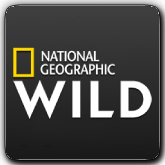 Çevrimiçi kanal Nat Geo Wild RO