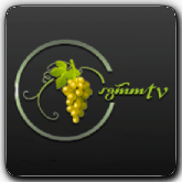 Online-Kanal Agro TV GE